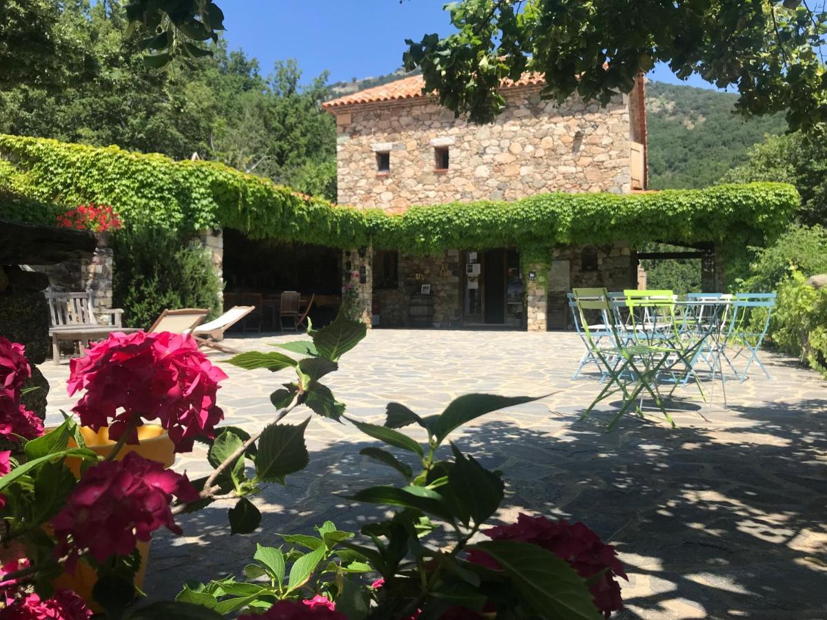 Bed and Breakfast A Muvrella Pioggiola Экстерьер фото