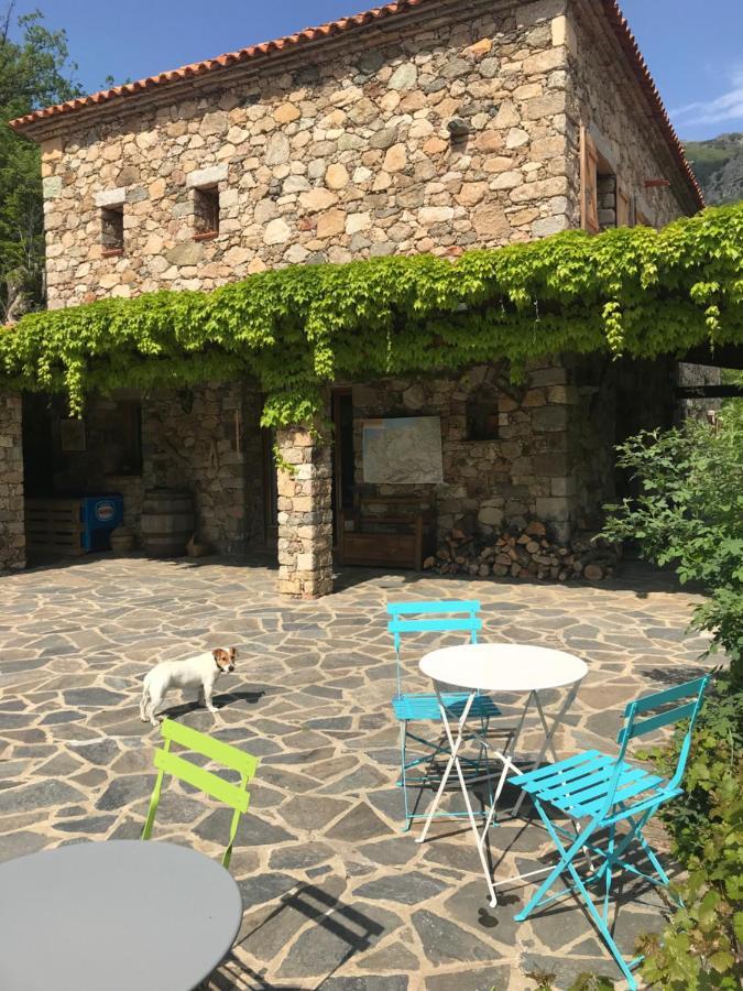 Bed and Breakfast A Muvrella Pioggiola Экстерьер фото