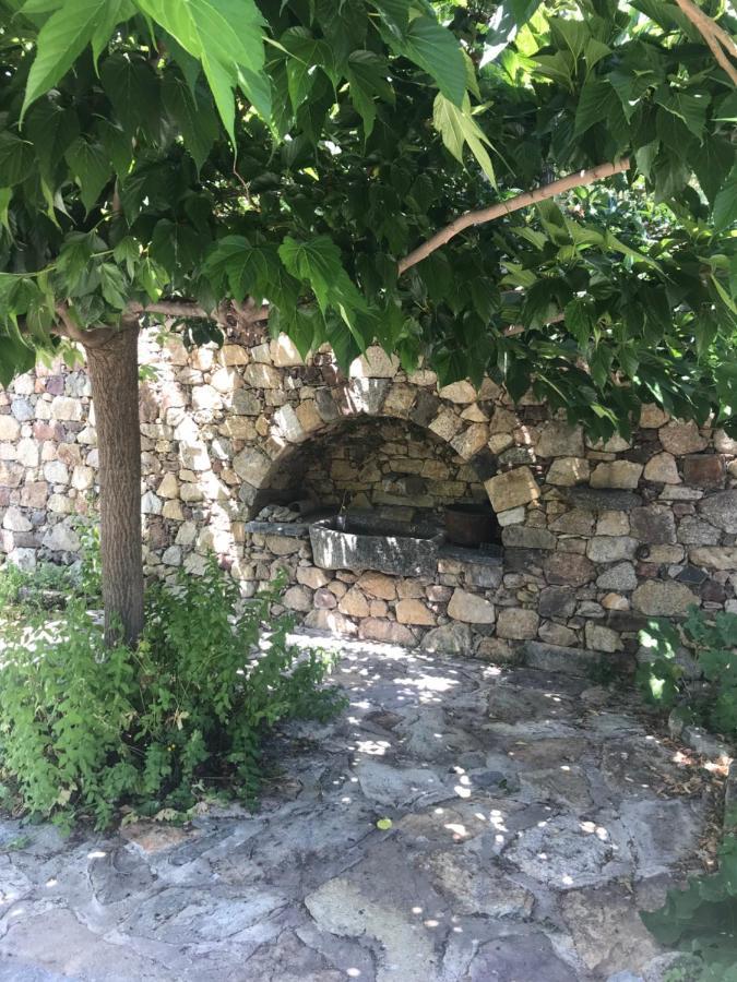 Bed and Breakfast A Muvrella Pioggiola Экстерьер фото