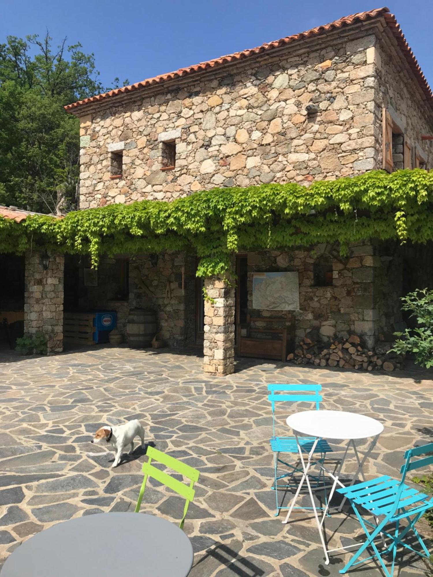 Bed and Breakfast A Muvrella Pioggiola Экстерьер фото